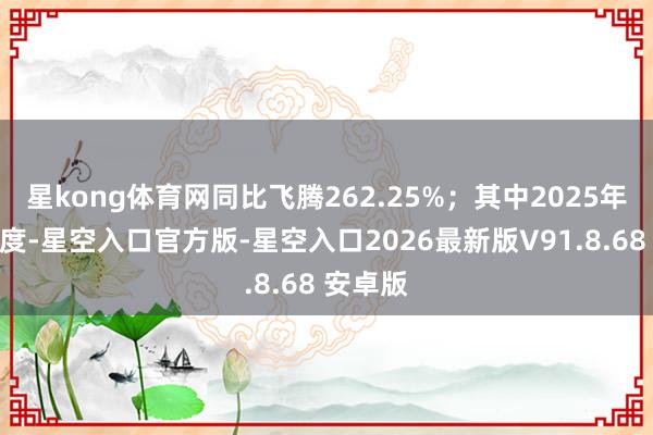 星kong体育网同比飞腾262.25%；其中2025年第二季度-星空入口官方版-星空入口2026最新版V91.8.68 安卓版